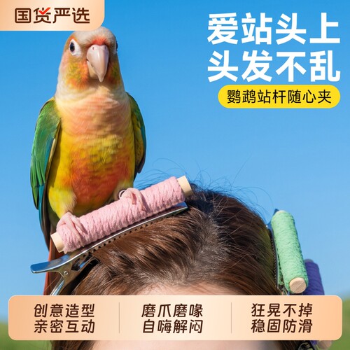 【鹦鹉随心夹】随时随地互动撸鸟