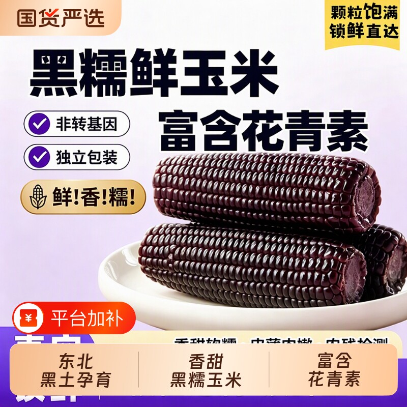东北黑糯玉米10新鲜糯玉米棒香甜玉米代餐真空装健康粗粮早餐国货