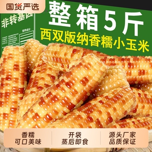 西双版纳小玉米香糯甜即食新鲜云南苞谷真空包装健康糯玉米真空装