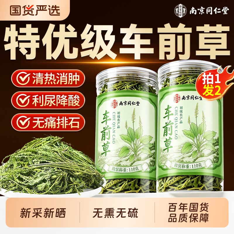 南京同仁堂车前草野生中药材泡水喝的功效作用干货官方旗舰店正品