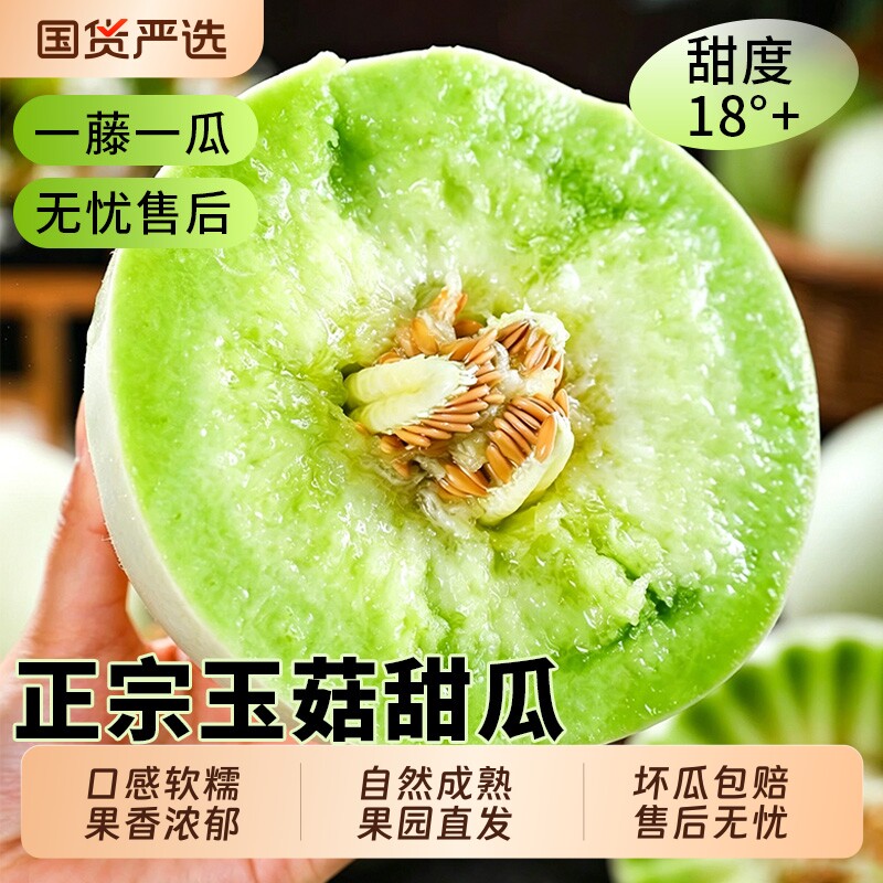 正宗玉菇甜瓜应当季甜瓜蜜瓜香瓜冰淇淋新鲜水果脆甜软糯整箱包邮