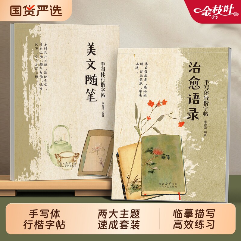 行楷字帖成人速成练字本图片