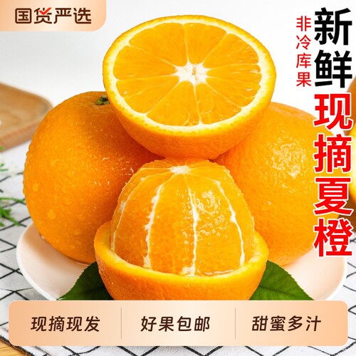 秭归脐橙大果新鲜甜|千人加购