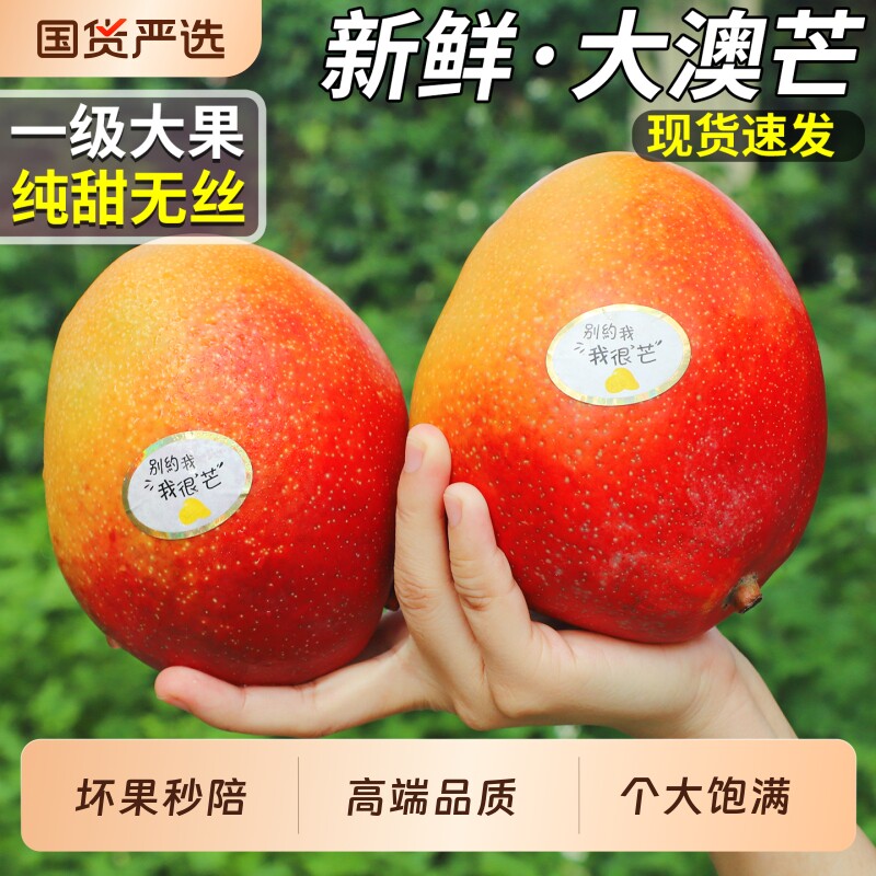 顺丰速达丨正宗广西金煌芒大果