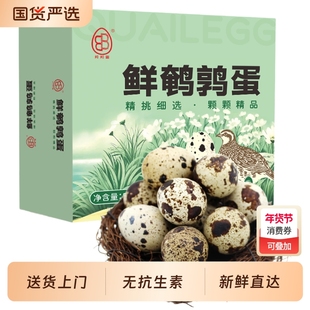 新鲜无抗鹌鹑蛋 生鲜蛋 健康好蛋50枚/盒 源头直发
