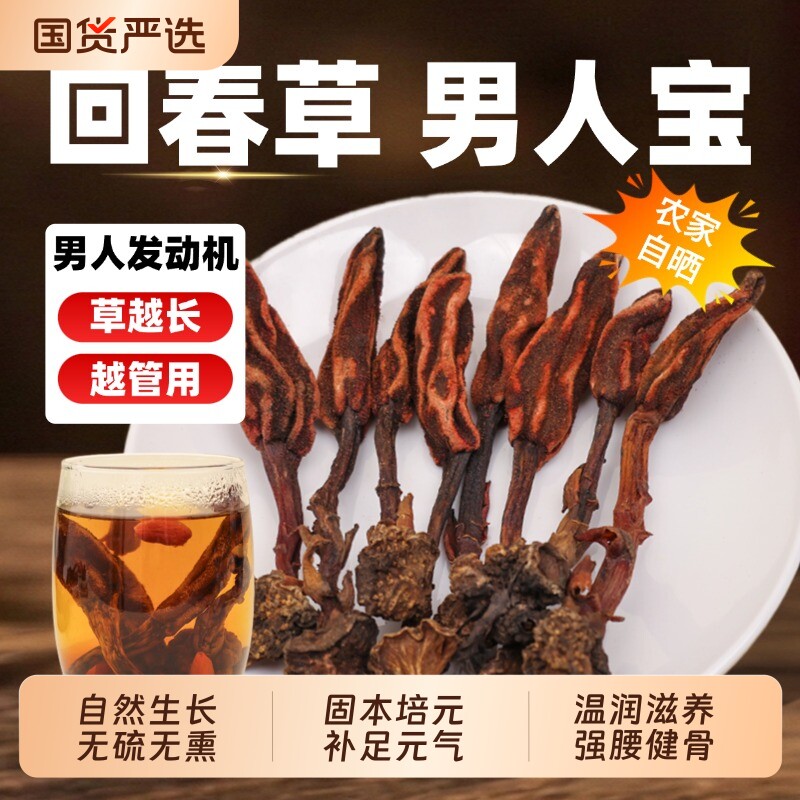 正品云南野生回春草旗舰店顶天柱泡酒正宗不老草泡茶泡水男性滋补