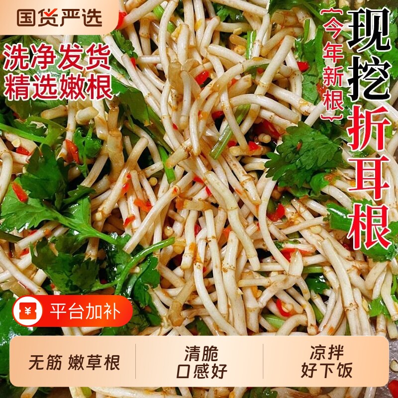折耳根新鲜鱼腥草嫩根嫩芽节节根农家自种凉拌即食蔬菜包邮迷迭香