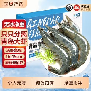 青岛大虾鲜活冷冻特大号2030海虾基围虾盐冻无冰青虾海鲜新鲜水产