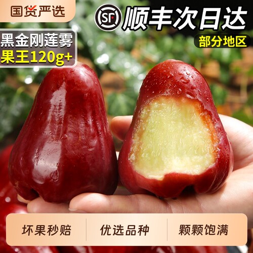 顺丰速达丨黑金刚莲雾精美礼盒装