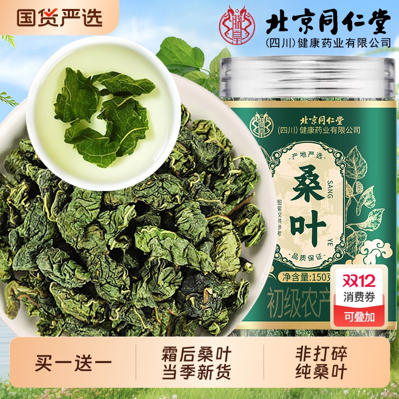 霜后桑叶茶桑树叶桑葚打秋后桑叶