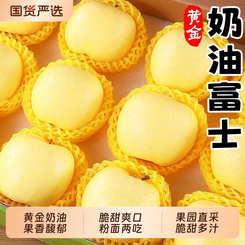 山东烟台黄金奶油富士苹果新鲜现摘水果当季冰糖心牛奶脆甜红平果