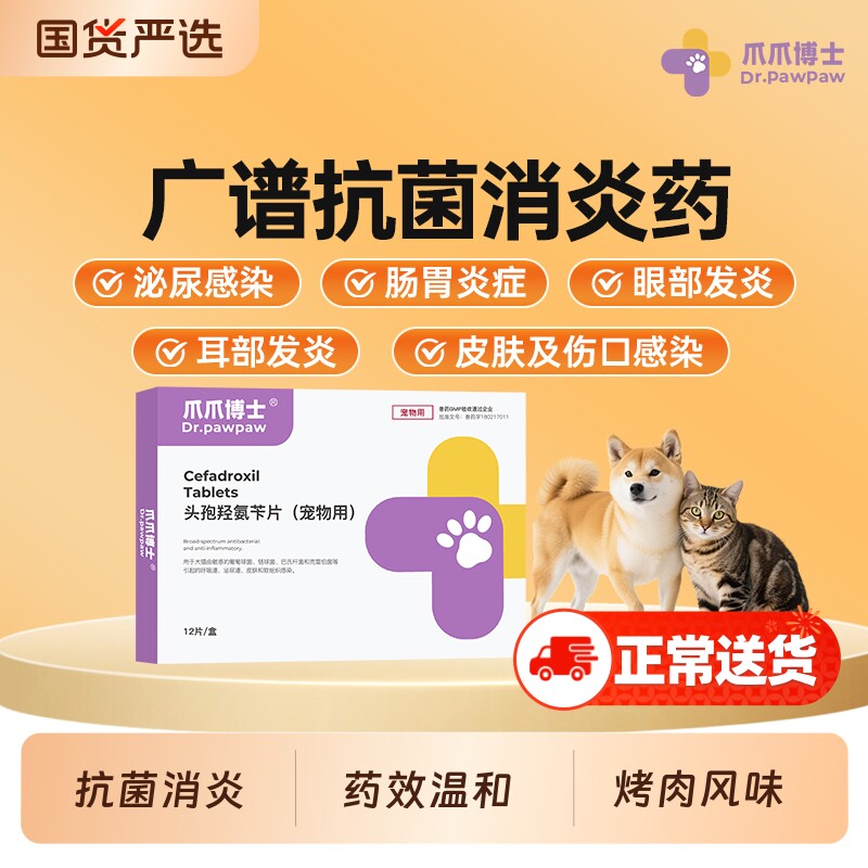 爪爪博士包立克狗狗消炎药猫咪肠胃脓皮感染宠物用头孢医师内服