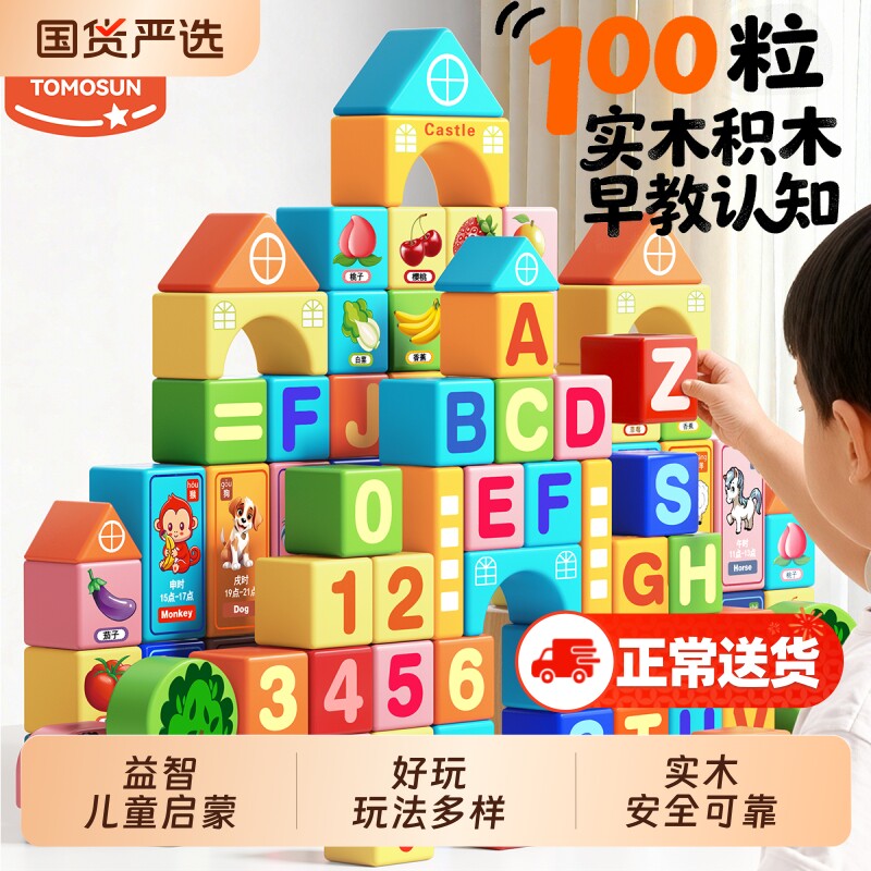 儿童积木益智拼装玩具3到6岁男智力开发大脑思维实木质大颗粒早教