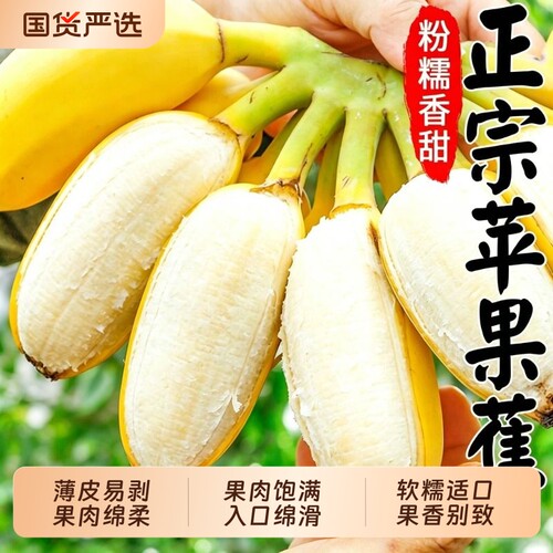 苹果蕉正宗香蕉芭蕉新鲜水果
