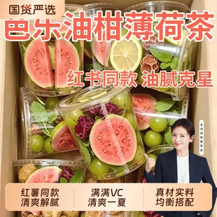 【红书同款】芭乐油柑薄荷茶夏日清爽冷泡水果茶独立包装解腻茶包
