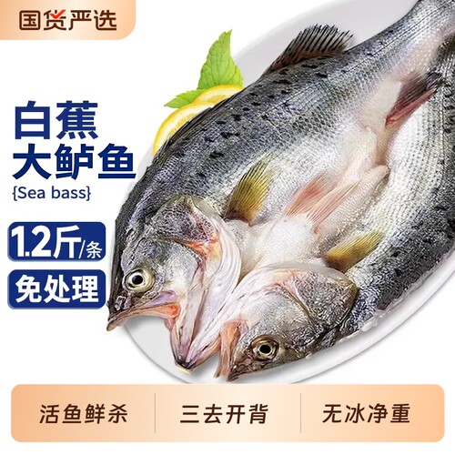 开背鲈鱼新鲜冷冻鲜活白蕉七星海卢鱼清蒸水产烤鱼半成品商用真空