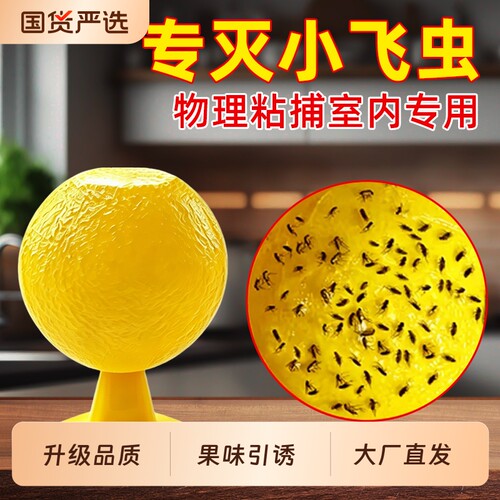 果蝇诱捕器果蝇苍蝇飞虫强力强效粘虫球室内外去除小黑飞灭杀神器