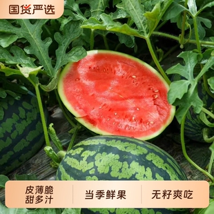 新鲜甘美4K整个西瓜甜薄皮肉厚无籽麒麟瓜时令当季皮薄脆甜多汁
