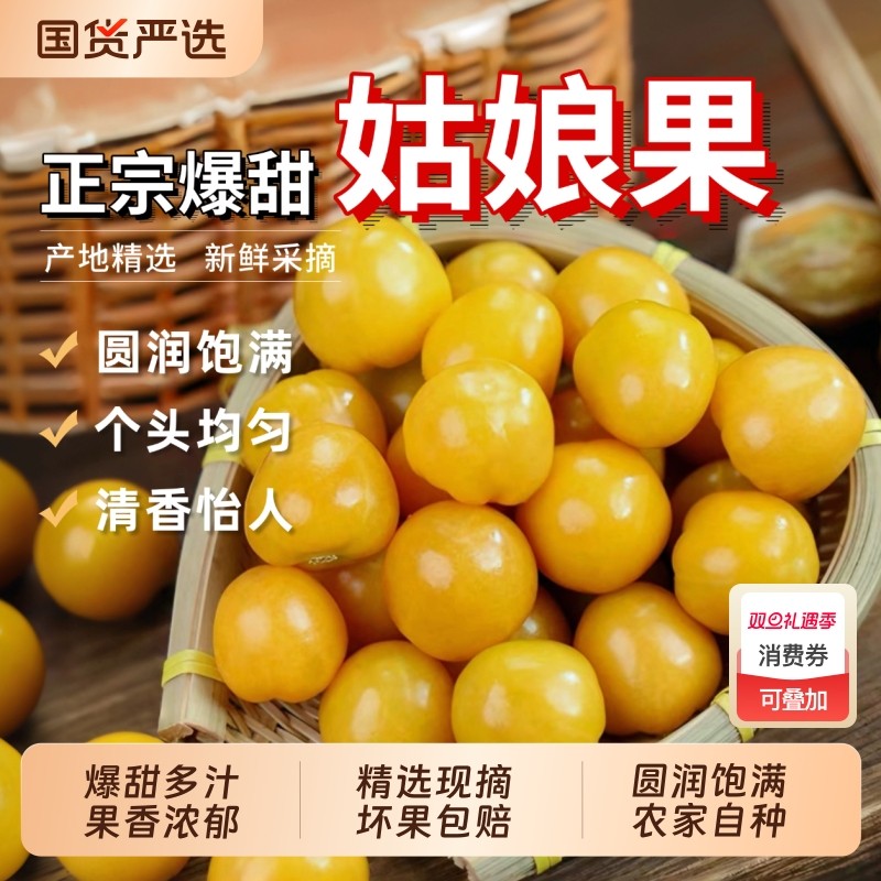 黄菇娘果新鲜灯笼果农家小园自种姑娘果香甜皮薄肉厚的姑娘果顺丰