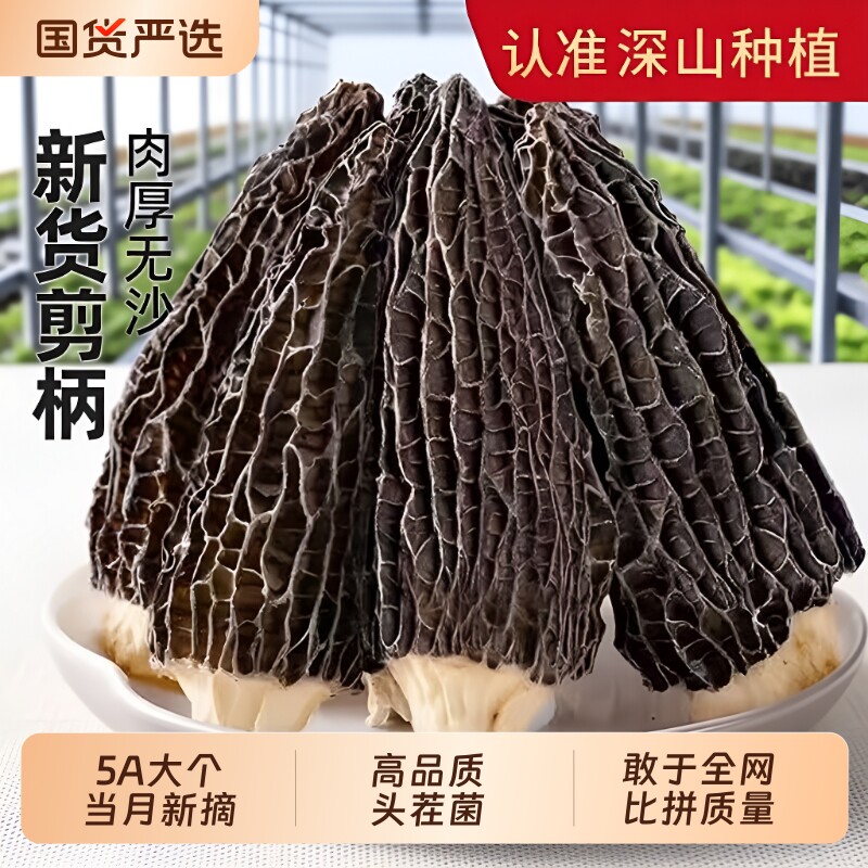 羊肚菌干货官方旗舰店云南特产野生500g牛肚蘑新鲜菌菇羊肚茵国货