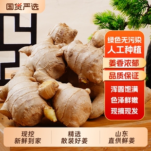 生姜姜老姜新鲜山东大姜大黄姜风干姜优质纯天然现挖大块批发