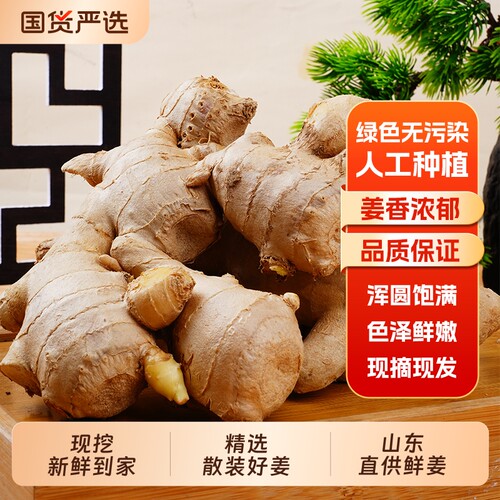 生姜姜新鲜山东大姜老姜大黄姜风干姜优质纯天然现挖大块批发