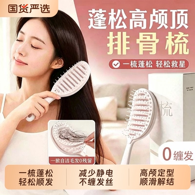 自清洁排骨梳高颅顶造型女士专用