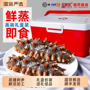 即食海参礼盒装底播辽刺参大连送礼2斤装1000g鲜活冷冻水产食物