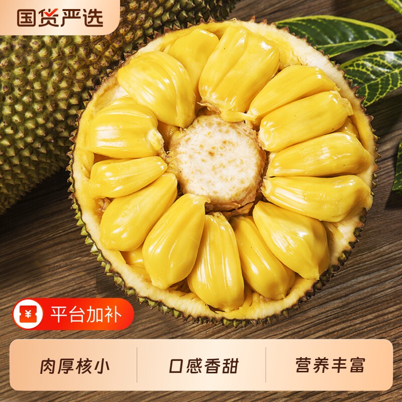 海南黄肉菠萝蜜当季新鲜孕妇水果特产热带波罗蜜一整个热带现摘