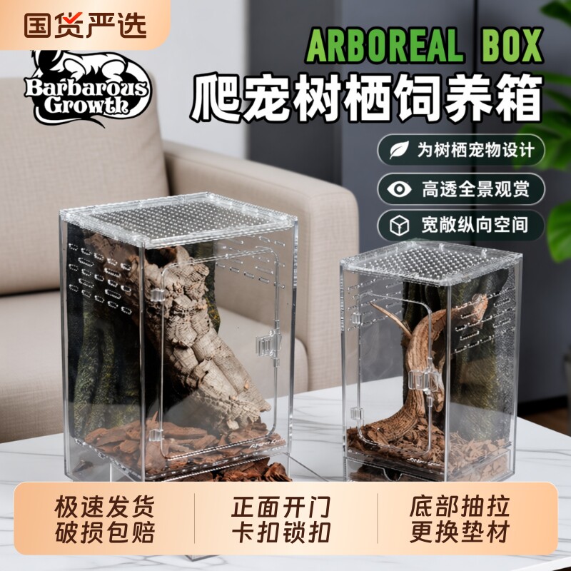 亚克力树栖树蛙睫角守宫饲养箱生态造景爬宠专用缸老爷饲养盒蜘蛛