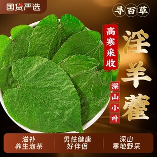 甘肃野生淫羊藿叶中药材正品淫羊藿草肉苁蓉锁阳泡酒泡水喝泡茶