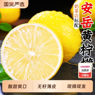 奶茶店专用！泡饮搭档黄柠檬5斤
