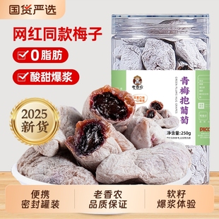 果干青梅抱酸話梅蜜餞零食無核原味新鮮 陳皮爆漿葡萄梅子250g罐裝