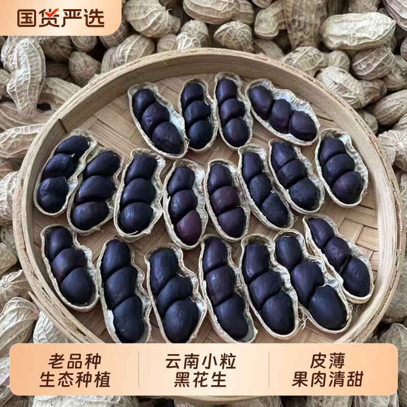 黑花生带壳生的新货500g黑皮种籽子农家原味云南镇沅特产晒干健康