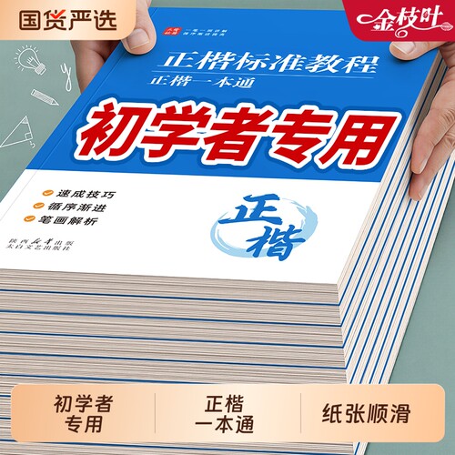 正楷楷书字帖成人练字初学者专用练字帖反复使用大学生考研入门基础教程练字本硬笔书法钢笔公务员临摹控笔训练每日一练常用字笔画