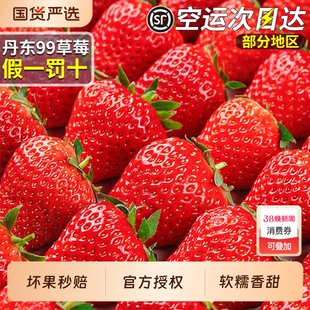 顺丰空运正宗丹东九九奶油草莓新鲜红颜草莓水果整箱包邮红色大果