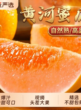 福瑞达香甜可口大果黄金蜜瓜
