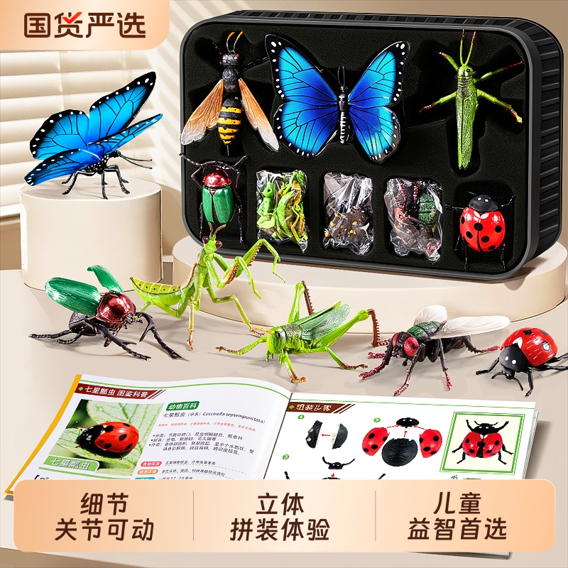 仿真4d拼装昆虫模型玩具套装