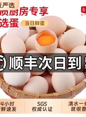 【顺丰次日达】正宗散养土鸡蛋