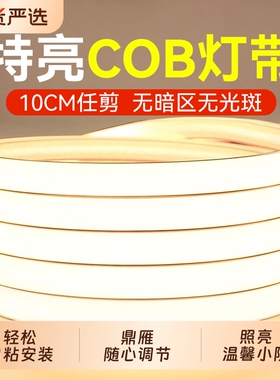 鼎雁cob自粘灯带LED超亮高压220v户外防水客厅软灯条庭院国货露台