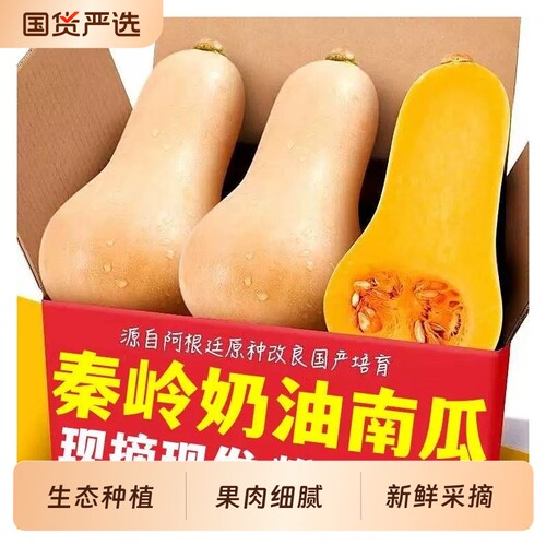 正宗奶油南瓜软糯香甜