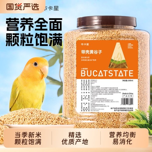 鹦鹉粮食天然黄谷子零食营养