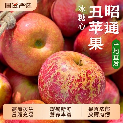 云南昭通丑苹果现摘现发皮薄肉厚冰糖心脆爽好吃不腻9斤甜脆多汁