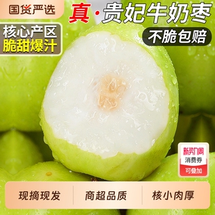 生鲜 包邮 福建贵妃牛奶枣当季 现摘新鲜水果大青枣子蜜枣苹果枣整箱