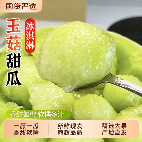山东玉菇甜瓜香甜软糯产地直发