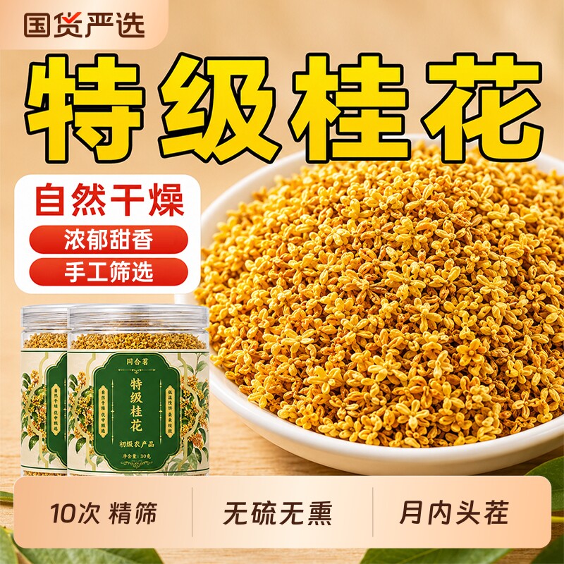 广西桂林原产地食用金桂桂花图片