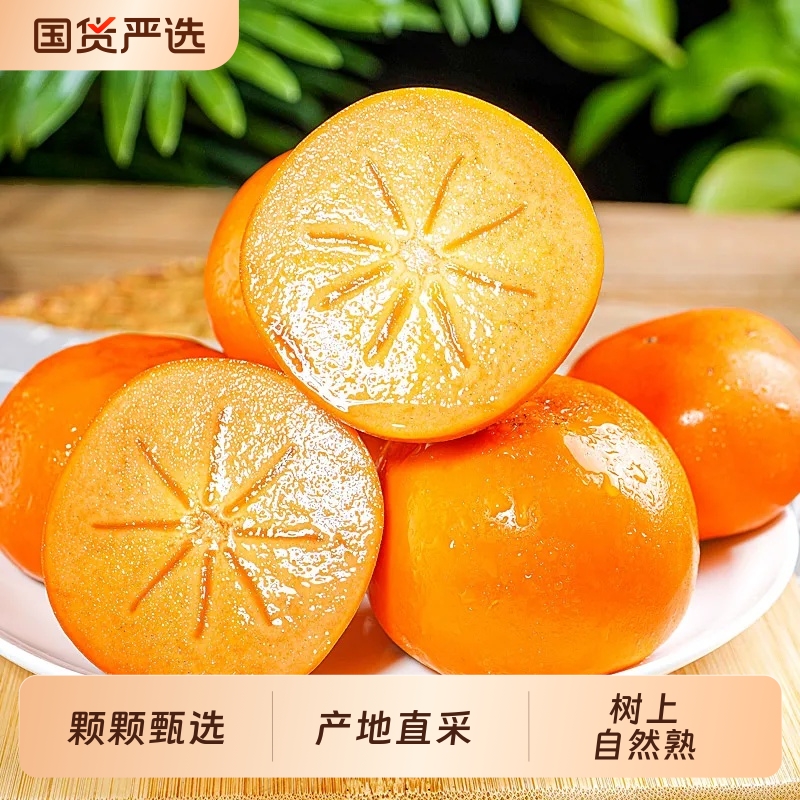 新鲜巧克力脆柿子水果应季一整箱包邮当季柿子冰糖心黄甜脆硬柿子