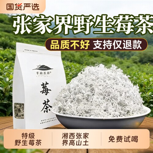 正品莓茶张家界野生特级芽尖莓茶