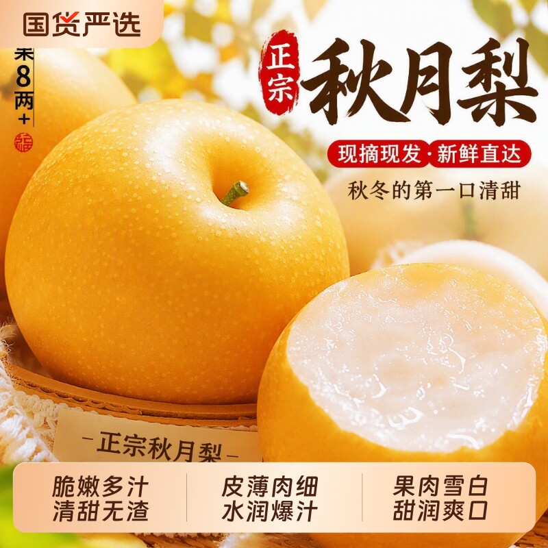 正宗丰水梨秋月梨现摘现发水果新鲜当季冰糖雪梨子大果整箱包邮