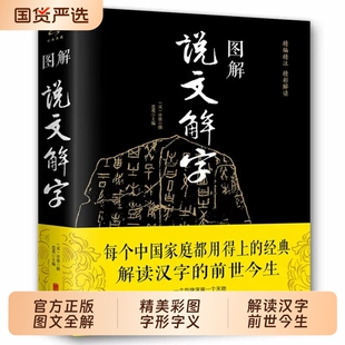图解说文解字精彩解读画说汉字的故事汉字演变过程展示语言精编精注前世今生文字的由来书籍知识正版周易古文国学经典图文文化